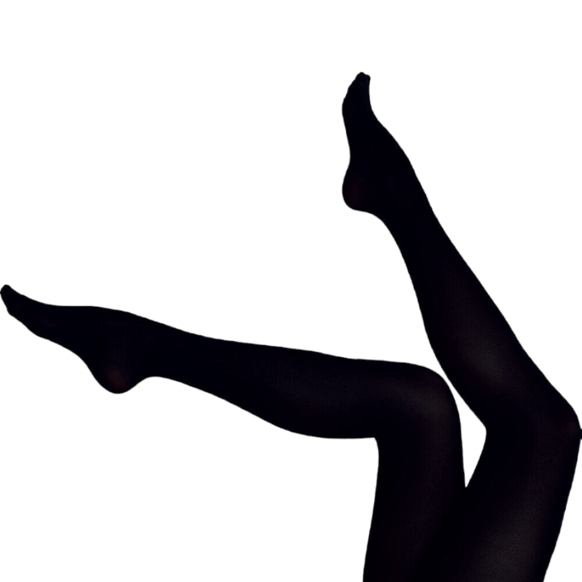 Soft & Cosy 350 Denier Thermal Fleece Tights (Made In Italy)